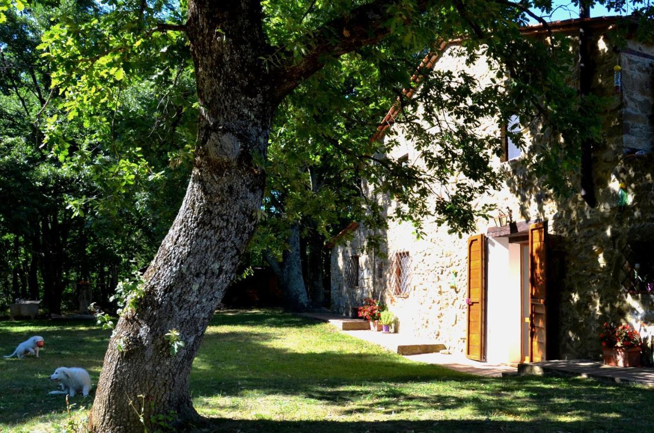 Il Venaio Bed & Breakfast Massa Marittima Exterior photo