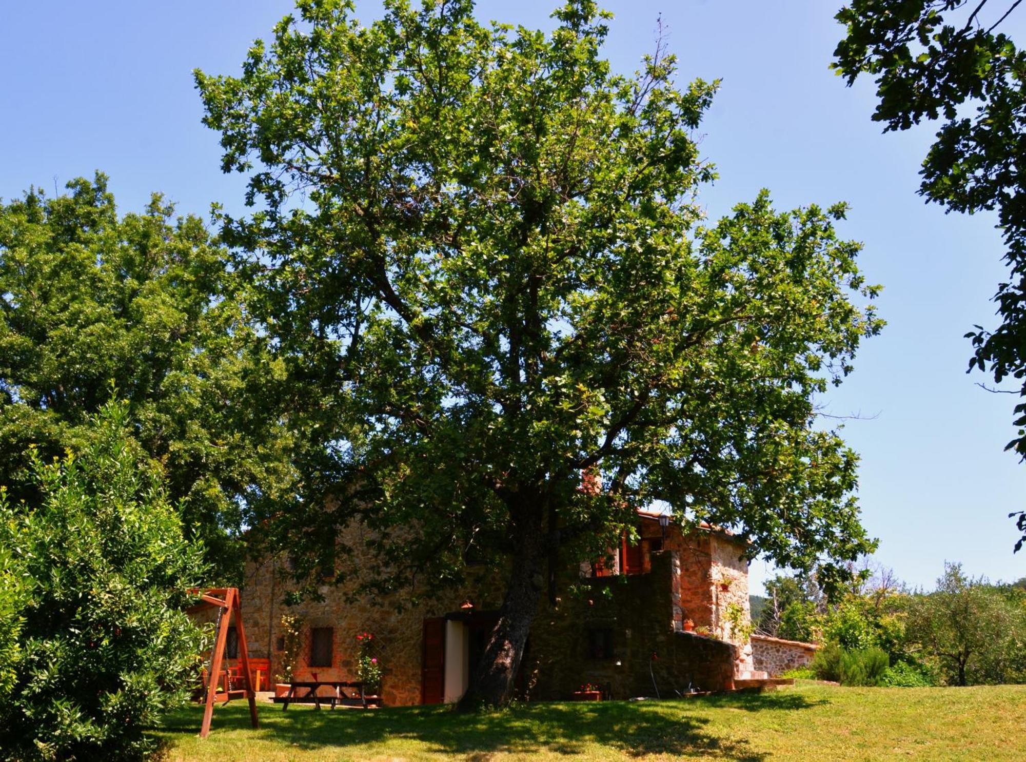 Il Venaio Bed & Breakfast Massa Marittima Exterior photo